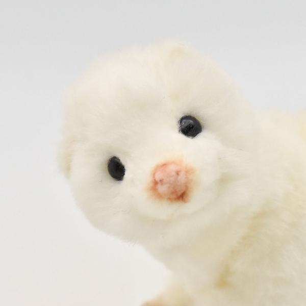 dearbear_4839_3