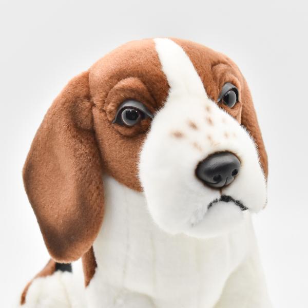 ☆びーぐる犬☆ さま専用 ☆びーぐる犬☆ さま専用 ☆びーぐる犬☆ さま専用