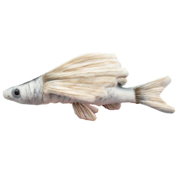 さかなです 楽天市場】魚 ぬいぐるみ 大きい おさかなぬいぐるみ さかなクン