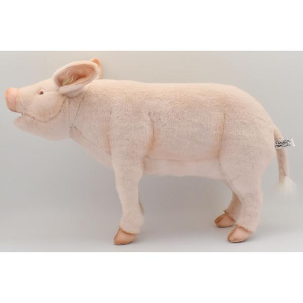 豚のぬいぐるみ リアルなデザイン　超特大サイズ HANSA BH6347 ブタ ぶた 豚 ぬいぐるみ リアル 爆買 母の日 : Dear
