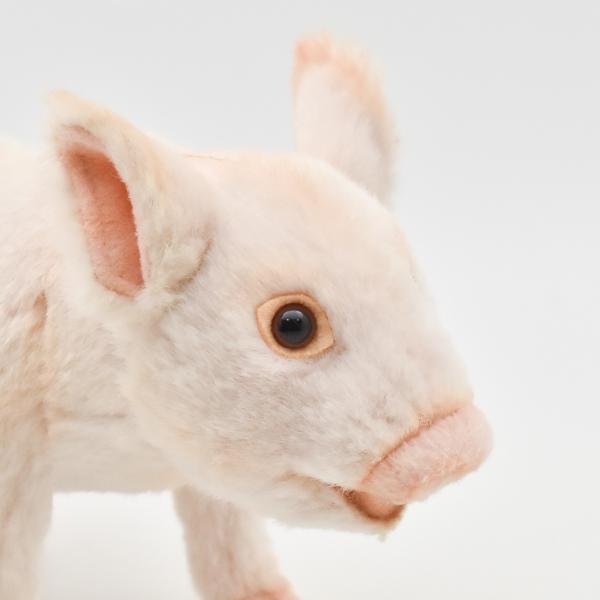 ハンサ ぬいぐるみ 4こ 中古品 まとめ売り バラ売り不可 ハンサ ぬいぐるみ 4こ 中古品 まとめ売り バラ売り不可 ハンサ