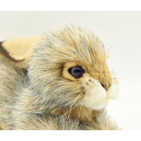 HANSA BH6520 オグロウサギ おぐろうさぎ 兎 ぬいぐるみ リアル : Dear