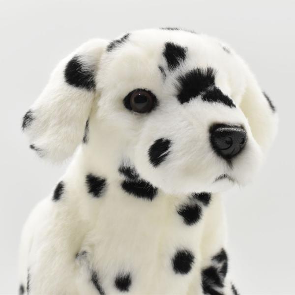 ダルメシアン　ぬいぐるみ dearbear_6725_3
