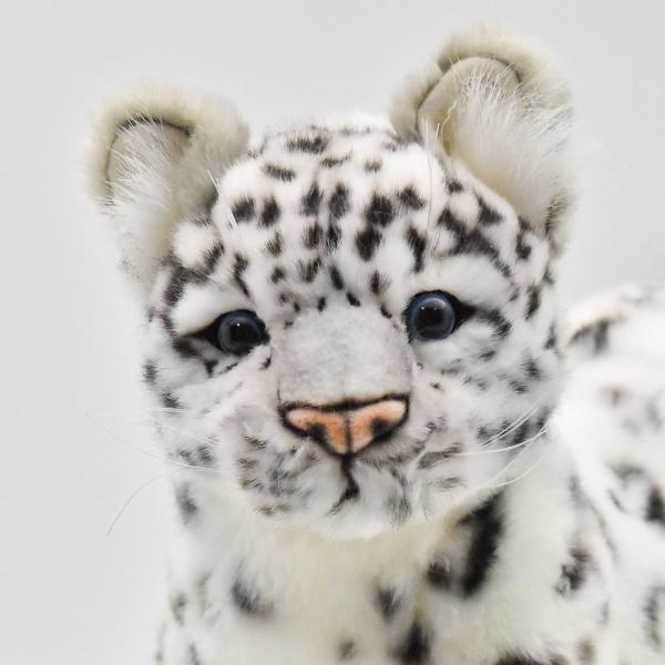 dearbear_6781_3
