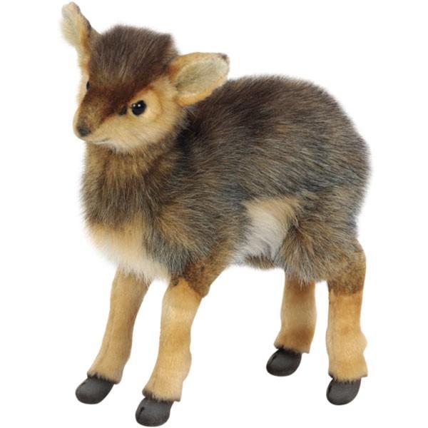 BH6821 fBNfBN HANSA@łł ʂ A