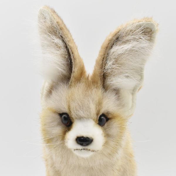 ぼのぼの　フェネックきつね＆プレーリードッグ　ぬいぐるみ　いがらしみきお　中古品 Amazon.co.jp: ぼのぼの ぬいぐるみ フェネックギツネ いがらし