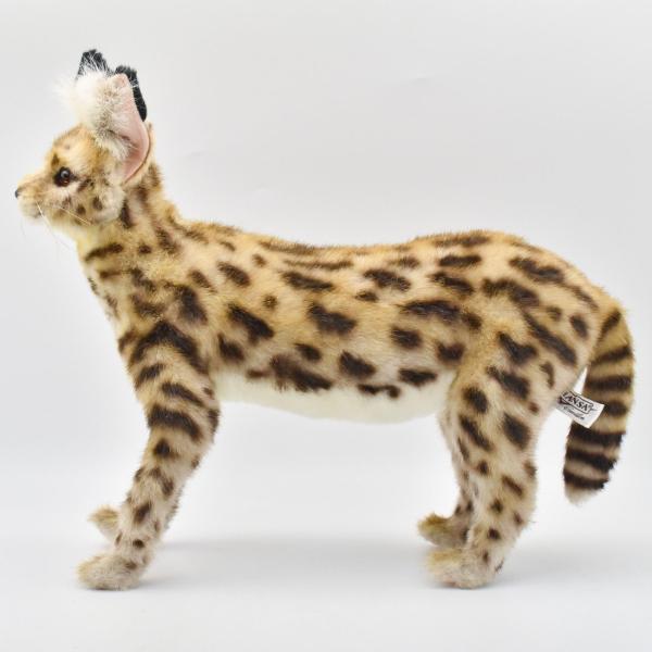 Mサイズ ハンドメイド・手芸 さて sate 猫ぬいぐるみ