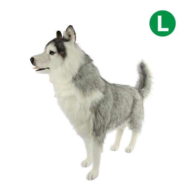 リアル犬 ぬいぐるみ　シベリアンハスキー　白　グレー HANSA BH8331 シベリアン・ハスキー グレー しべりあん・はすきー いぬ