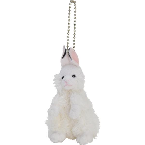 }XRbgL[`F[ ETM   {[`F[ ʂ  e v[g Aj}tY