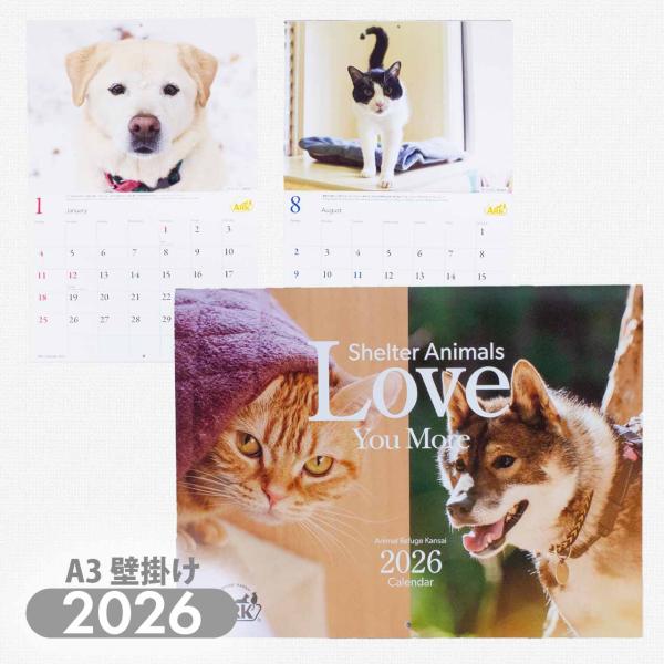 ARK アニマルレフュージ関西 壁掛けカレンダー 2026 アーク 保護犬