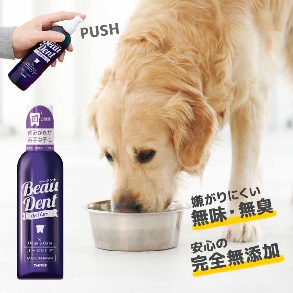 犬 液体歯磨き トーラス ボーダン 240ml 日本製 完全無添加 防腐剤