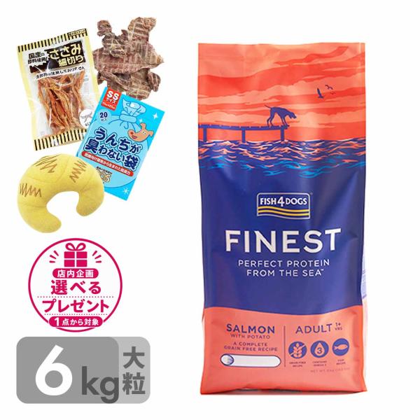 送料無料 フィッシュ4ドッグ ファイネスト サーモン 大粒 6kg FISH4DOG グレインフリー 魚 ドッグフード 穀物不使用 無添加 正規品