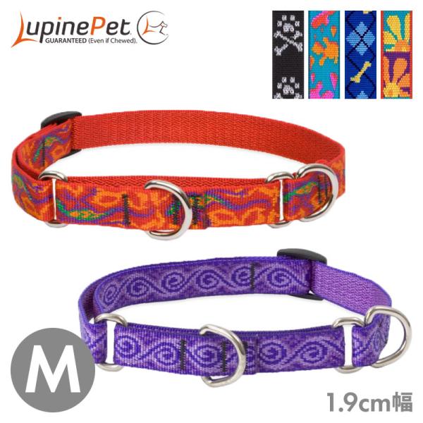 犬 首輪 ハーフチョーク マーチンゲールカラー Lupine ルパイン オリジナル コンボカラー 1.9cm幅 M 中型犬 輸入 メール便OK 1015