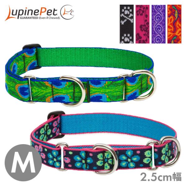 犬 首輪 ハーフチョーク マーチンゲールカラー Lupine ルパイン オリジナル コンボカラー 2.5cm幅 M 中型犬 大型犬 メール便OK 1015