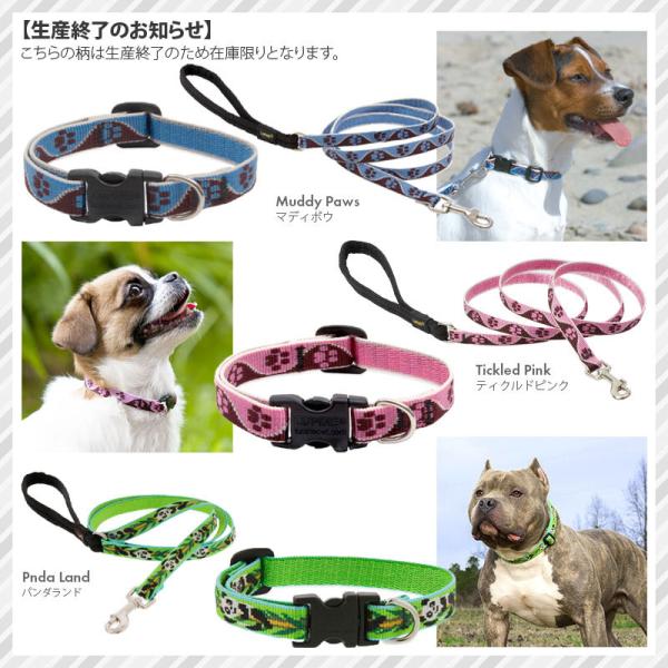 犬 首輪 ルパイン アジャスタブルカラー 1.3cm幅 Sサイズ 首周り15.2〜22.8cm 6〜9インチ ワンタッチカラー メール便OK Lupine Pet 輸入 :lupine-collar-ad-13s:Dear Dogs 犬のセレクトショップ - 通販 - Yahoo!ショッピング 犬 首輪 ルパイン アジャスタブルカラー 1.3cm幅 Sサイズ 首周り15.2〜22.8cm 6〜9インチ ワンタッチカラー メール便OK Lupine Pet 輸入 :lupine-collar-ad-13s:Dear Dogs 犬のセレクトショップ - 通販 - Yahoo!ショッピング