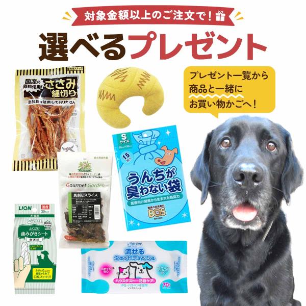 【単品注文不可】選べるプレゼント 9,000円以上のご注文で1点選べます