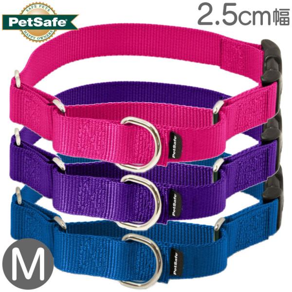 大型犬 ハーフチョーク ナイロン 首輪 バックル付き ペットセーフ プレミアカラー with クイックスナップ 2.5cm幅 M 輸入 メール便OK 1015