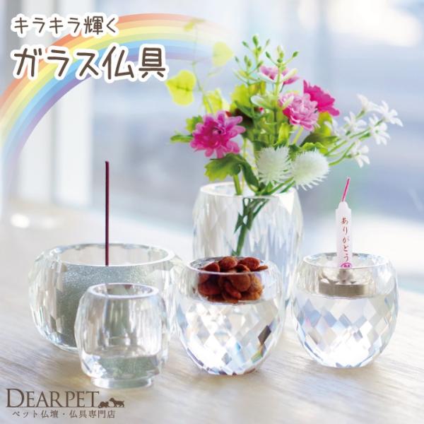 dearpet_f00092