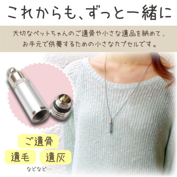 刻印 ペット 遺骨 ペンダント メタリックミニ ネックレス 3色 遺骨 アクセサリー ピンク ブルー シルバー 青 骨 収納 メモリアルグッズ コンパクト ネコポス対応 Buyee Buyee Japanese Proxy Service Buy From Japan Bot Online