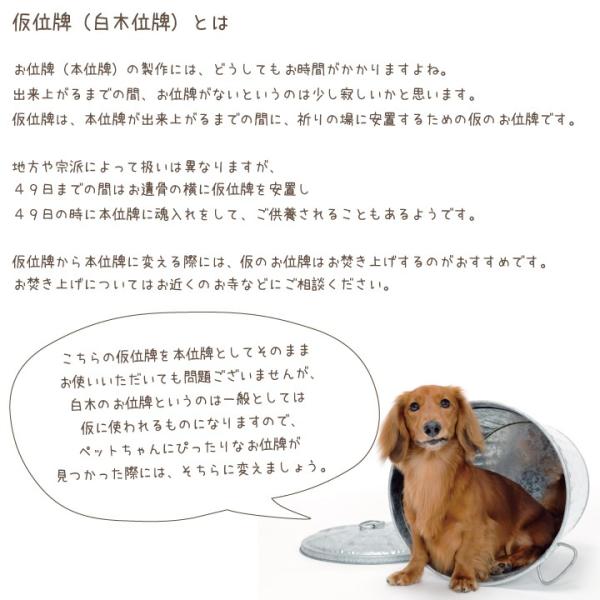 ペット 位牌 仮位牌 手書き位牌 桐 白木 ミニ位牌 動物 犬 猫 ペット位牌 メッセージ ミニペット位牌 Buyee Buyee 日本の通販商品 オークションの代理入札 代理購入