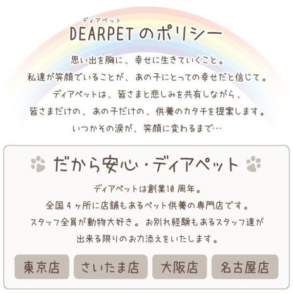 ラッピング付 仏花 プリザーブドフラワー 丸型花器入り メッセージカード付 ラッピング アレンジ お供え花 ペット供養 Buyee 日本代购平台 产品购物网站大全 Buyee一站式代购 Bot Online