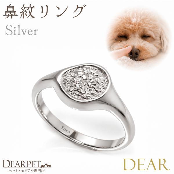 dearpet_f00tw056