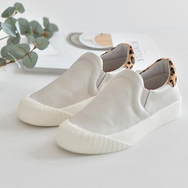 Xb| fB[X Ip[h v t@[ Xj[J[ ubN  zCg  sN x[W Vv  JWA wlC fB[XV[Y