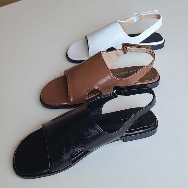 T_ obNXgbv tbg fB[X ؂ y^R  F  ubN uE zCg ₷ ɂȂ C wlC ؍