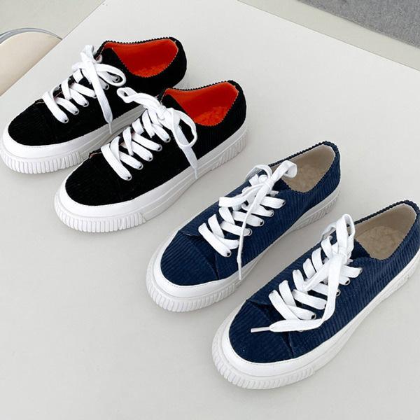 Xj[J[ R[fC CR [XAbv tbg   ubN u[ ₷ ɂȂ JWA Vv Xb| C wlC ؍