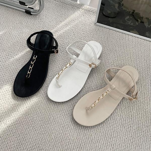 T_ gO `F[ ANXgbv tbg fB[X ؂ y^R   ubN x[W zCg ₷ C wlC ؍