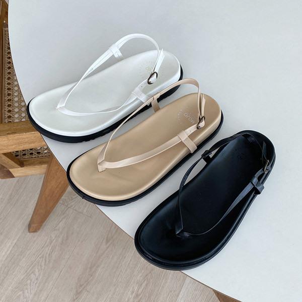 T_ gO obNXgbv tbg fB[X ؂ y^R   ubN x[W zCg ₷ ɂȂ Vv C wlC ؍