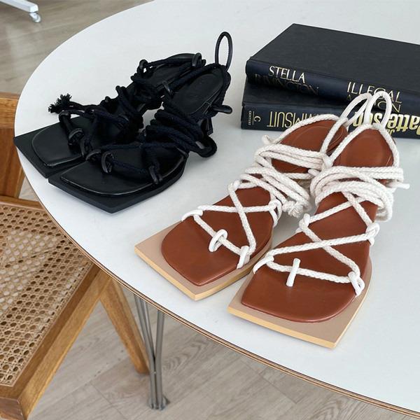 T_ gO Xgbv R q [XAbv fB[X ~hq[  F ubN uE ₷ ɂȂ JWA C wlC ؍