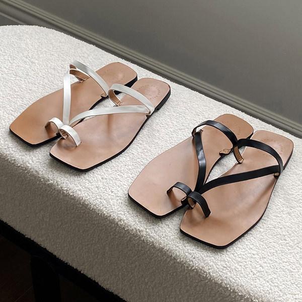 T_ TO ewO tbg fB[X ؂ y^R   ubN zCg ₷ ɂȂ JWA Vv C wlC ؍