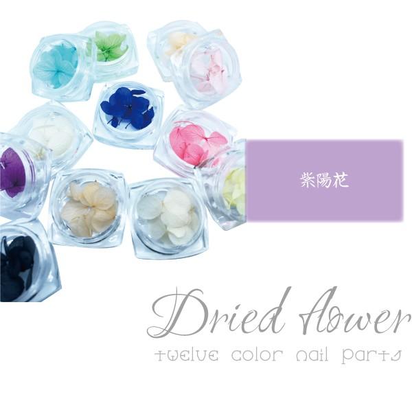 ドライフラワー 12色セット 紫陽花 花びら 押し花 ネイル レジン 素材 おしばな あじさい Nailart Drieda デコるん工房 通販 Yahoo ショッピング