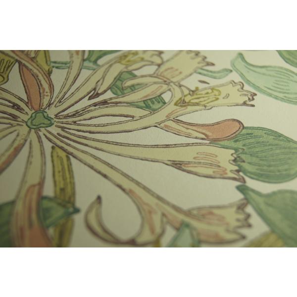 張り替え おしゃれ 輸入 輸入壁紙 ハニーサックル ライトグリーン ウィリアムモリス インテリアショップ デコール ウィリアムモリス イギリス の輸入壁紙 紙素材 10m 1ロール単位で販売 壁紙 内装 ウィリアムモリス 壁紙 モリス ウイリアム モリス