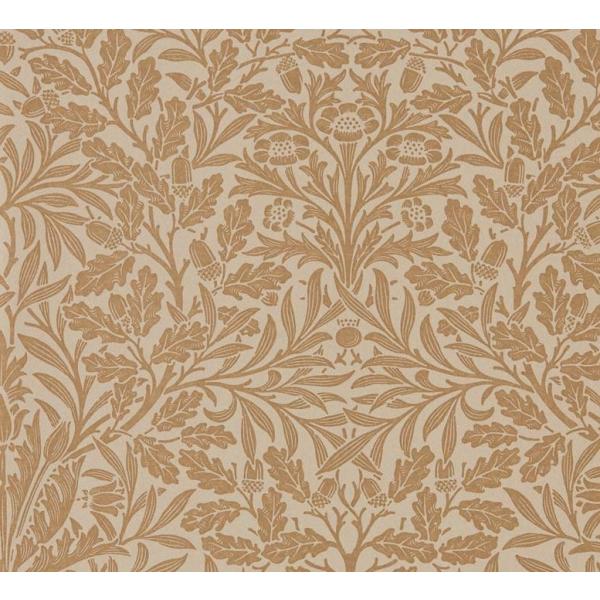 ǎ ւ EBAX Aǎ NX PURE MORRIS sAX Pure Acorn GCR[ G[R {^jJ S[h F 216041 DIY