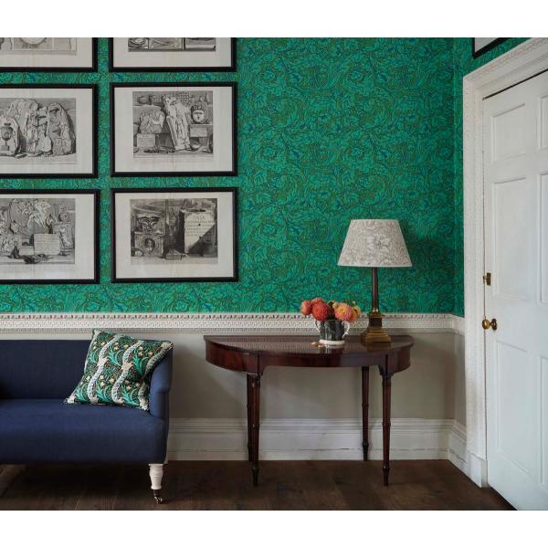 ǎ ւ NX  Aǎ EBAX Bachelor's button o`F[Y{^ԋe Q 216959  DIY 