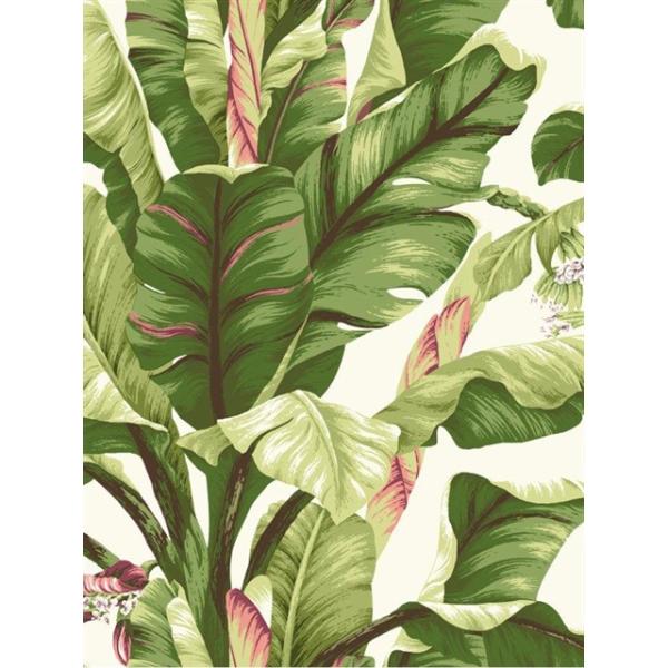 輸入壁紙 Ashfordtropics バナナリーフグリーン At7067 At7067 インテリアショップ デコール 通販 Yahoo ショッピング
