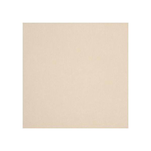 Vta インテリアショップ 壁紙 内装 Diy 工具 デコール 輸入壁紙 無地 単色 ラメ入りベージュ