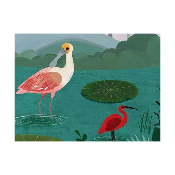 安い Picturebook W574 01 Dusky Amazon 輸入壁紙 クロス Diy パネルタイプ アマゾン 熱帯雨林 鳥 キッズ 子供部屋 絵本 貼って剥がせる 18ｍ巻 最上の品質