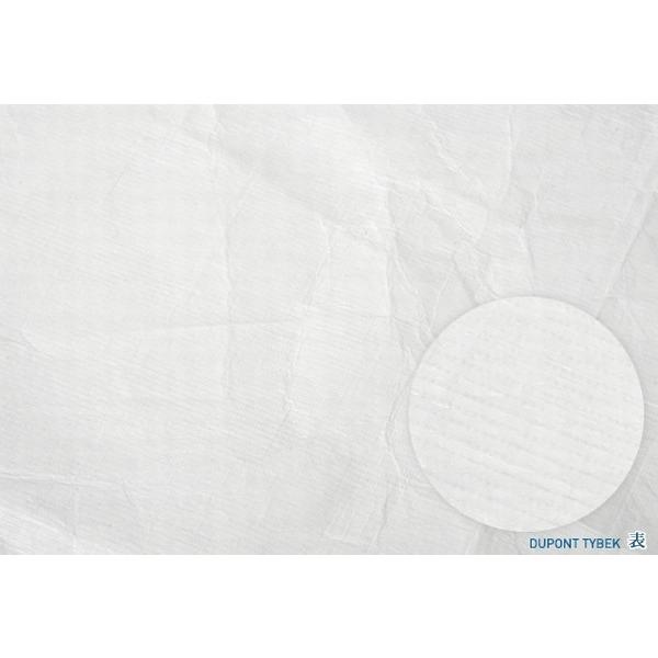 nEz@ čf| ^CxbNn @^CxbNn/150cm@x|G`100%@ό󐫁Aϐ@y10cmPʔ̔z