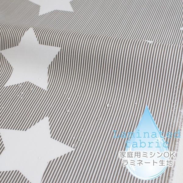 nEzEw@ Cocoa gray star @~l[gn/100cm@TT@ycΉzy10cmPʔ̔z