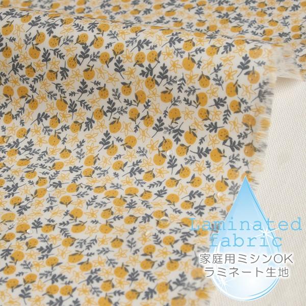 生地 布 入園入学 Tangerine ラミネート生地 幅105cm つや消しサラサラ 巻き芯発送対応 10cm単位販売 Shlm D1yf705 デコレクションズ Yahoo 店 通販 Yahoo ショッピング