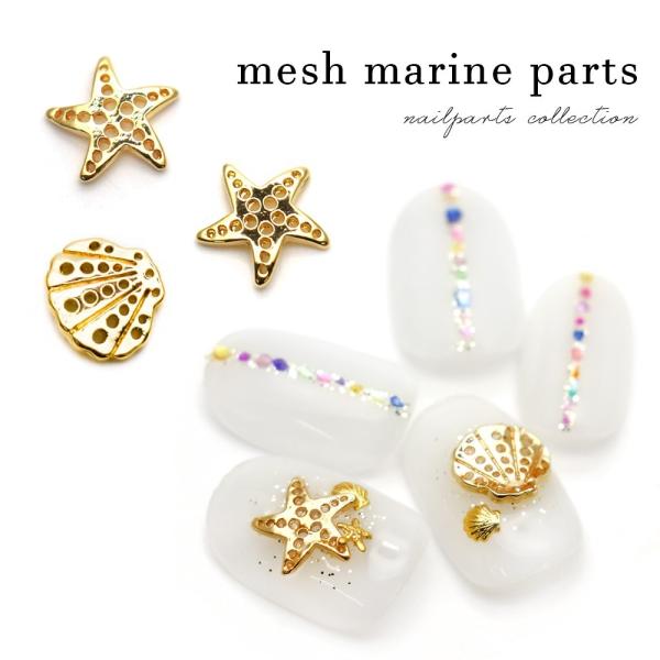 [lR|X]^p[c bV}p[c qgf/VF 3 ZtlC  WFlC