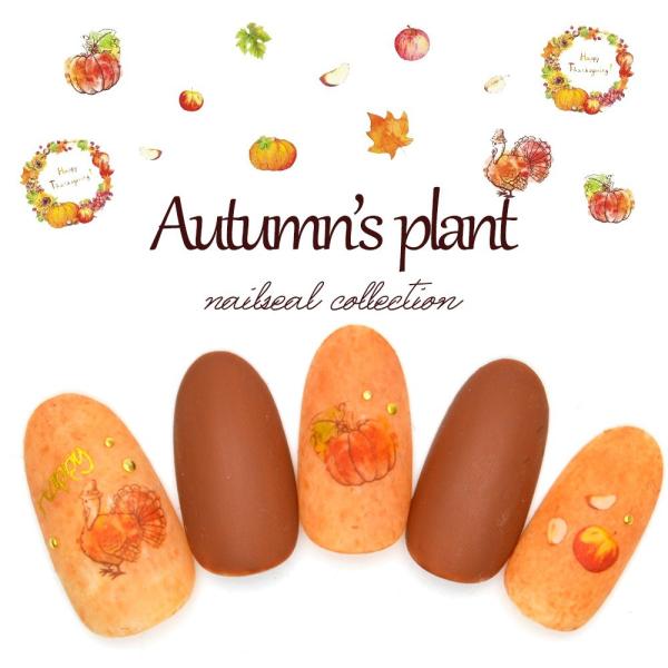 [lR|X]I[^vgV[ [E455] ZtlC  WFlC