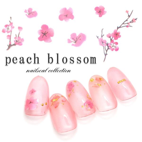 [lR|X]s[`ubTV[ lCV[ ̉ [F129]ZtlC  WFlC