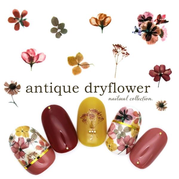 【特徴】 植物標本のようなリアルな風合い○゜          大人女子にぴったり！『アンティークドライフラワーシール』 が新登場♪ネイルはもちろん、レジンにもお使いいただけます ◎※切り口から開封するとシール台紙ごと切ってしまう恐れがござ...