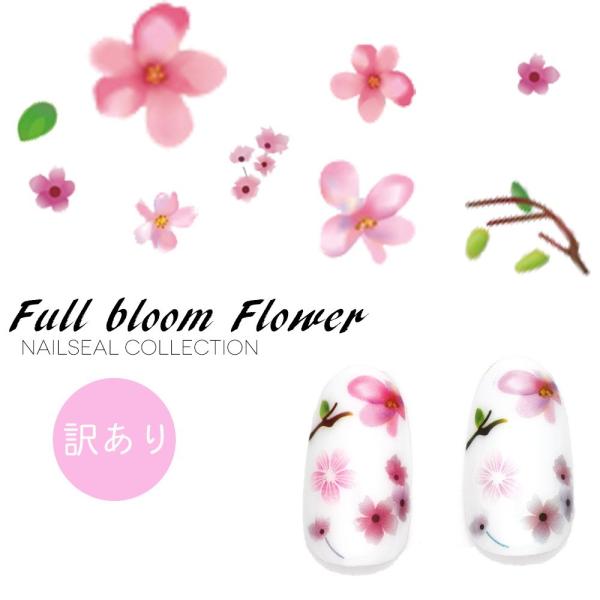 [lR|X][󂠂]lCV[ tu[t[V[ [F245]ZtlC  WFlC