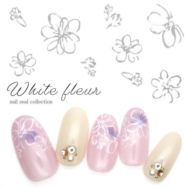 11/24 0-24[zN[|zz]lCA[g EH[^[lCV[ zCgt[V[ [DS-355]ZtlC  WFlC