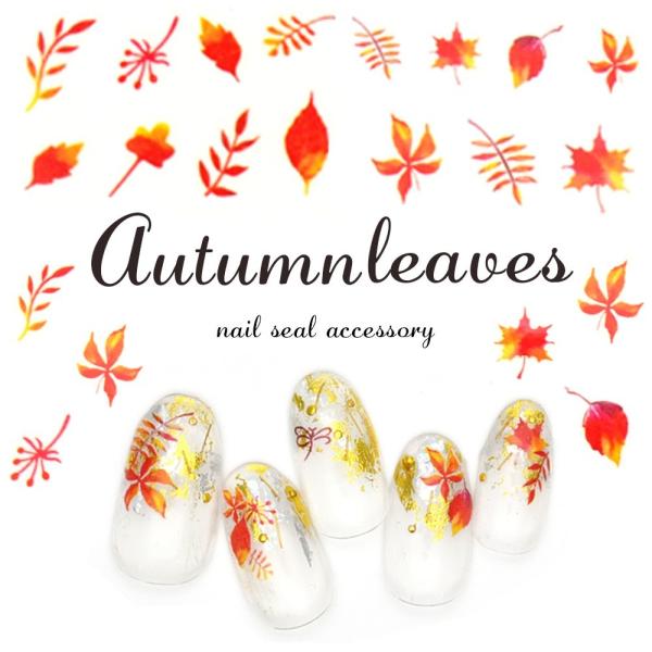 30OFFN[|zzIubNtCf[ gtlCV[ [M+012]EH[^[lCV[